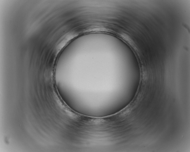 X0000099451282200805161013
