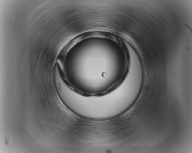 X0000099451284200805161013