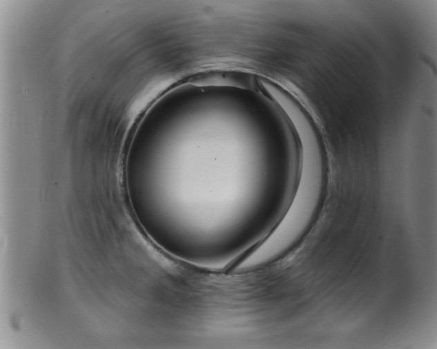 X0000099451285200805161013