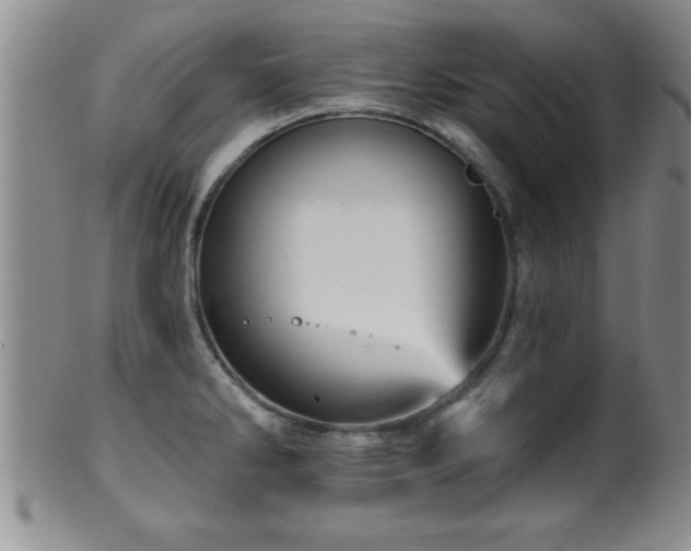 X0000099451286200805161013