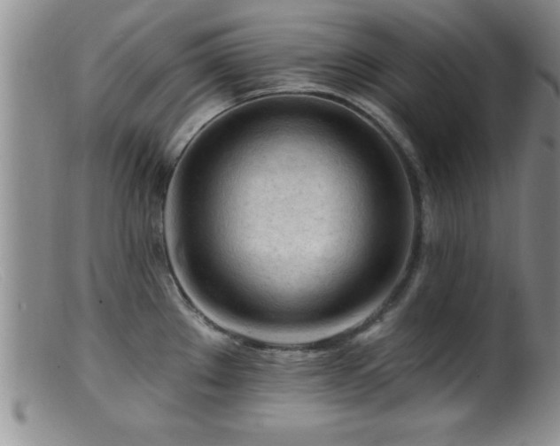 X0000099451289200805161013
