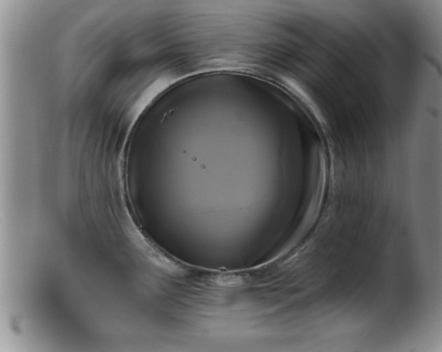 X0000099451291200805161013