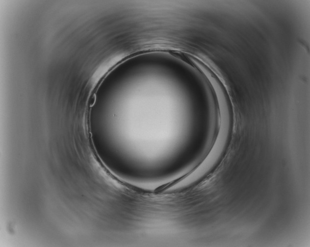 X0000099451293200805161013