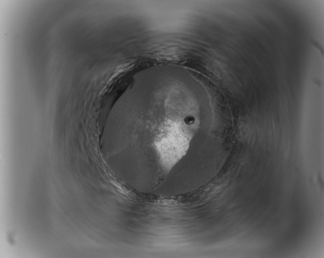 X0000099451297200805161012