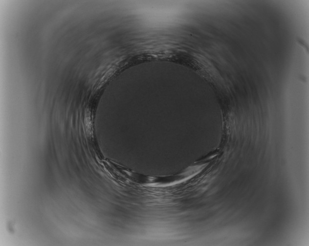 X0000099451298200805161012