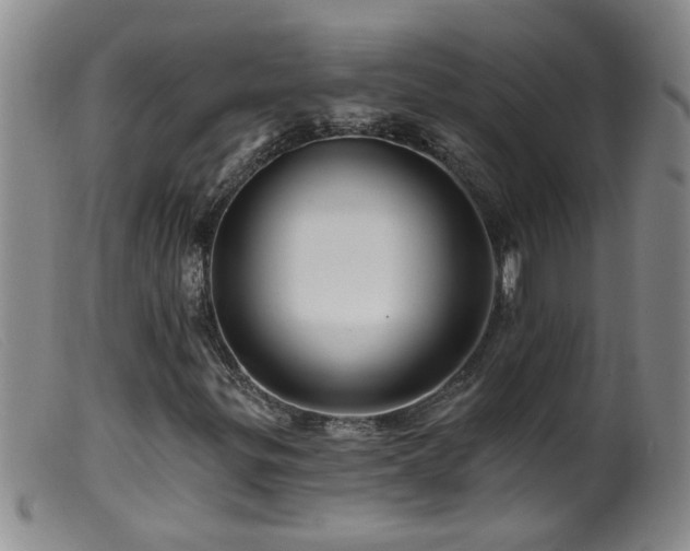 X0000099451299200805161012