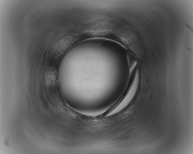 X0000099451300200805161012