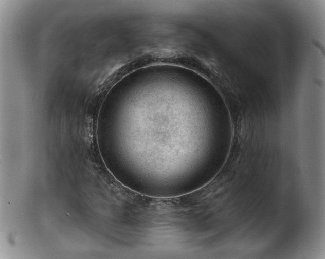 X0000099451301200805161012