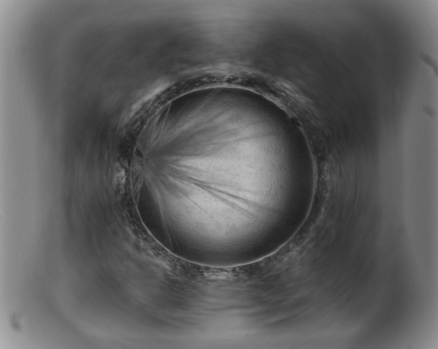 X0000099451302200805161012