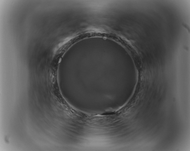 X0000099451303200805161012