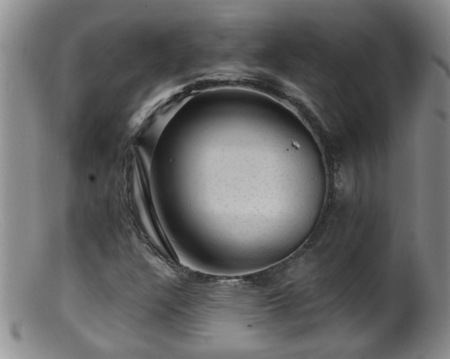 X0000099451304200805161012