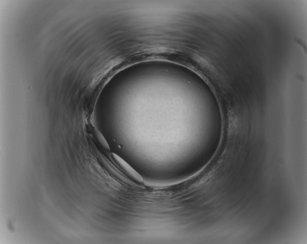 X0000099451305200805161012