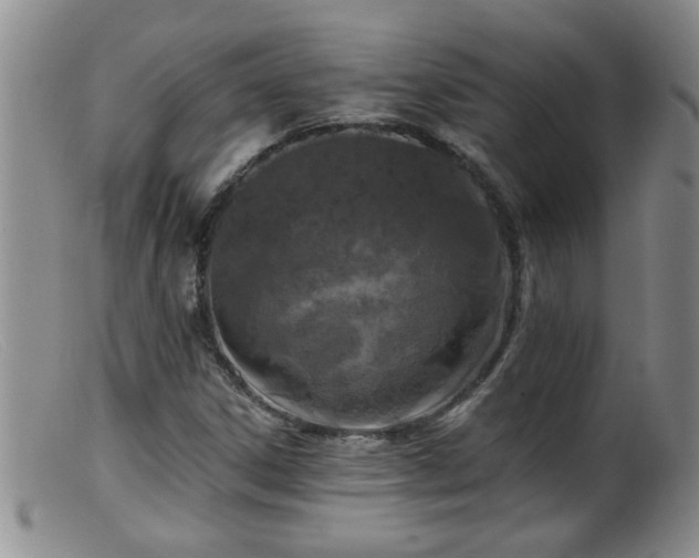 X0000099451306200805161012