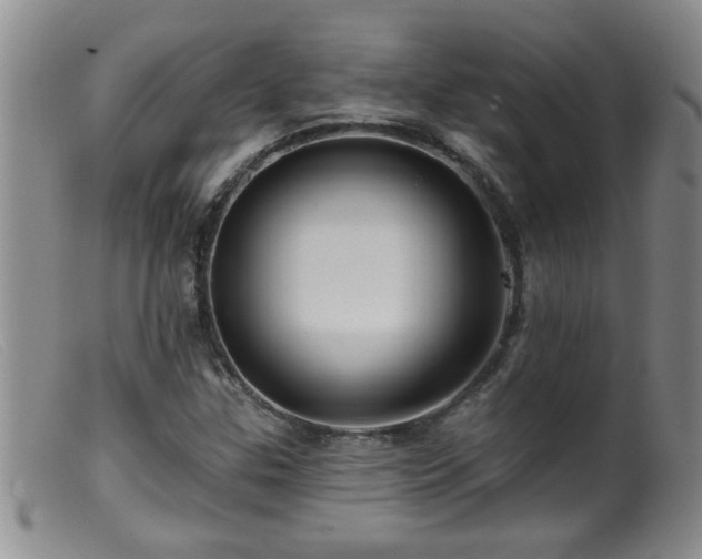 X0000099451307200805161012