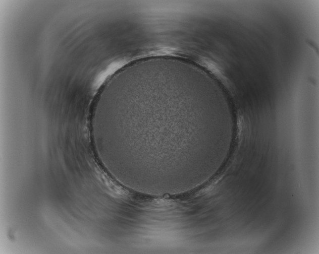 X0000099451308200805161012