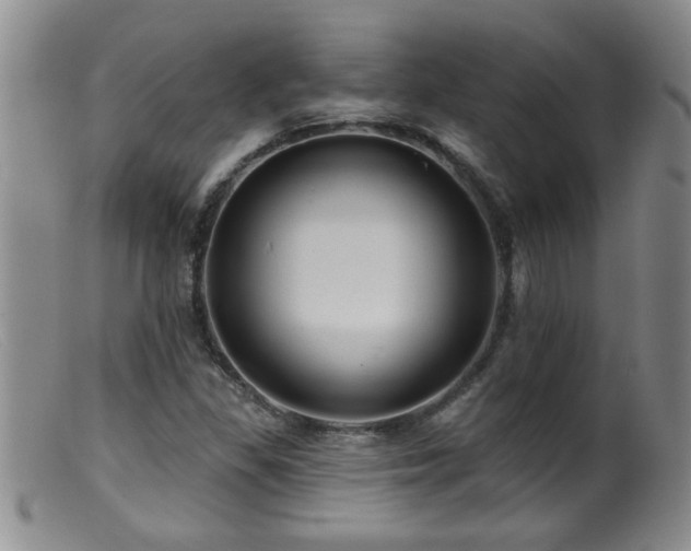 X0000099451309200805161012