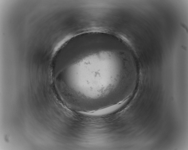 X0000099451310200805161012