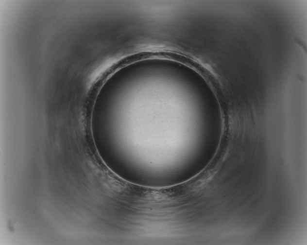 X0000099451311200805161012