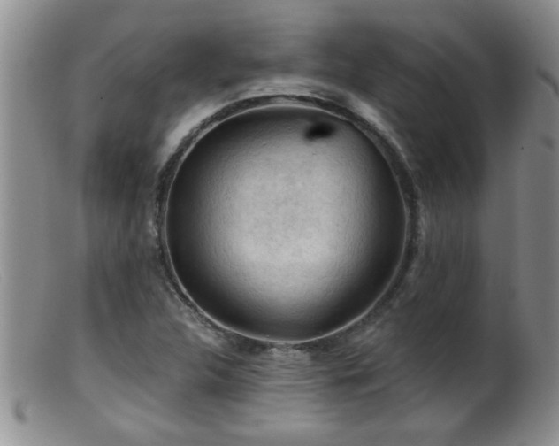 X0000099451312200805161012