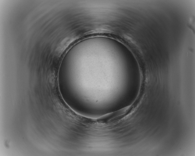 X0000099451313200805161013