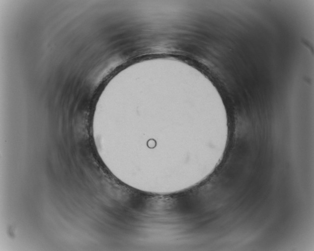 X0000099451314200805161013