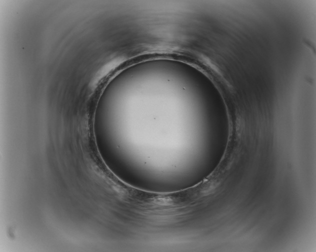 X0000099451315200805161013