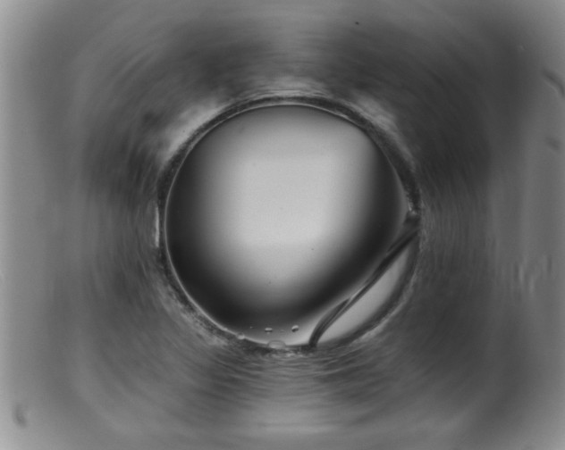 X0000099451317200805161013