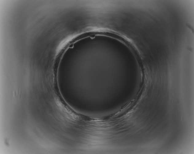 X0000099451319200805161013