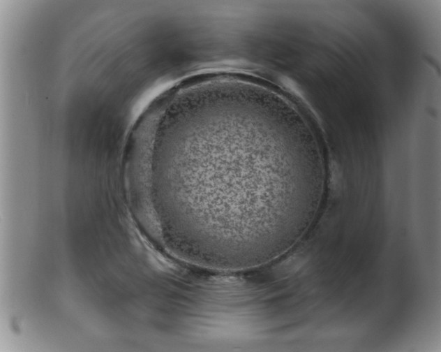 X0000099451320200805161013