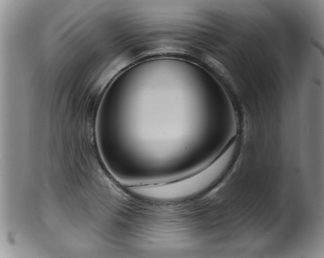 X0000099451321200805161013