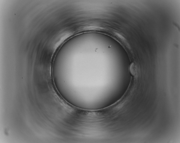 X0000099451322200805161013