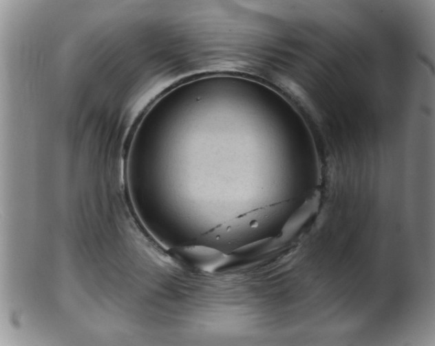 X0000099451324200805161013