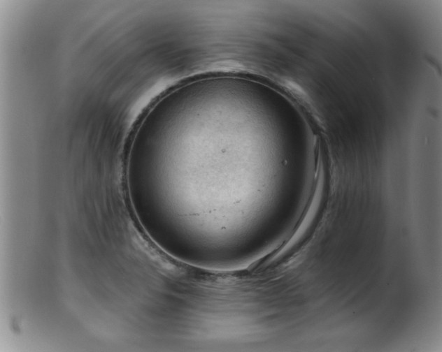 X0000099451326200805161013