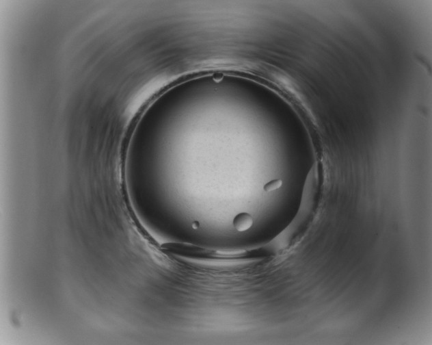X0000099451328200805161013