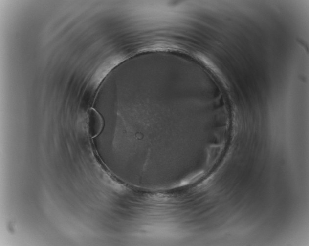 X0000099451329200805161013