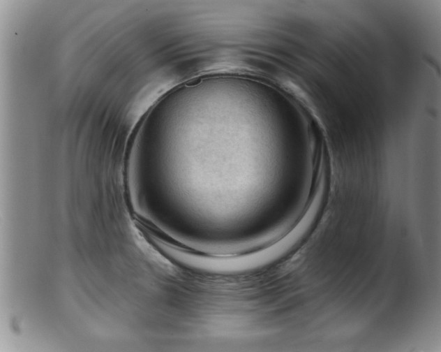 X0000099451330200805161013