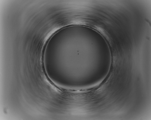 X0000099451331200805161013