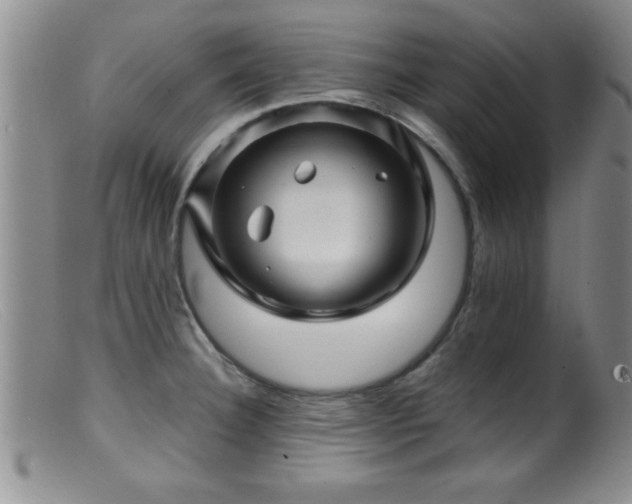 X0000099451332200805161013