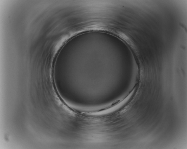 X0000099451334200805161013
