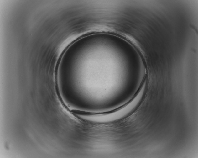 X0000099451335200805161013