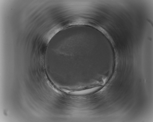 X0000099451337200805161013