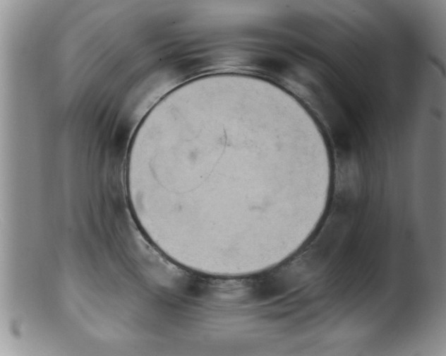 X0000099451338200805161013