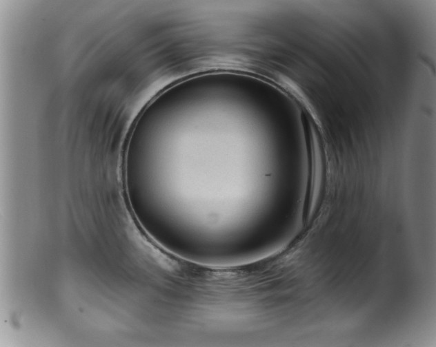 X0000099451339200805161013