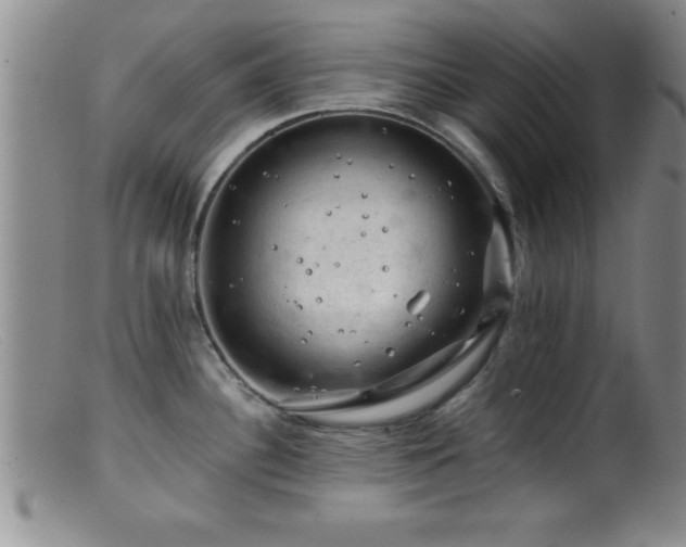 X0000099451340200805161013