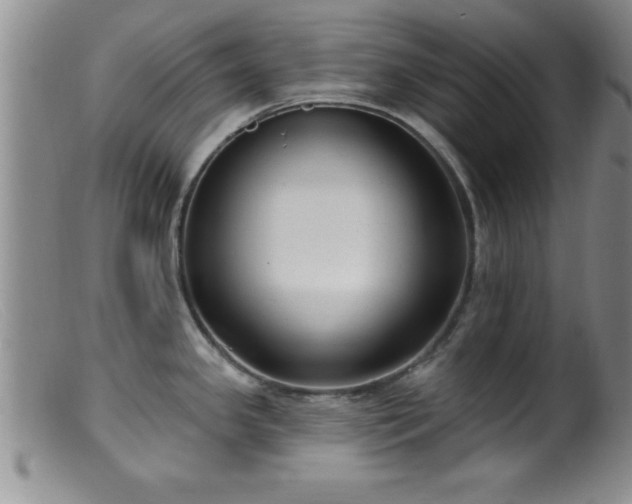 X0000099451341200805161013