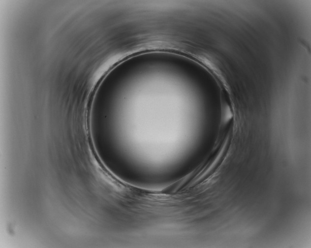 X0000099451342200805161013