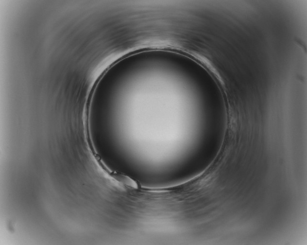 X0000099451343200805161013