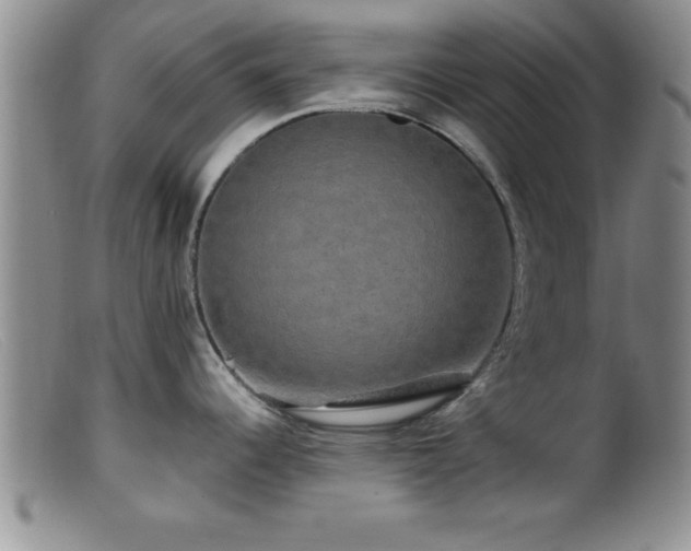 X0000099451344200805161013