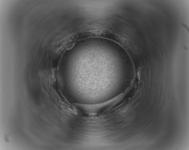 X0000099451347200805161012