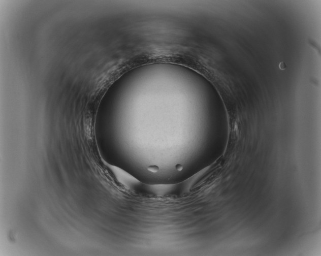 X0000099451348200805161012